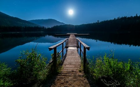 12 Ways to Contact JetBlue®️ USA Care Contact Numbers: A Step-By-Step Guide