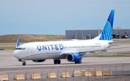 14 Ways to Reach American Airlines Customer service Phone Number, Chat and Email Options: A Step-By-Step Guide