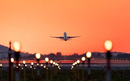 Lufthansa Support!! USA: 61 Contact Numbers & Help Hacks You Should Know