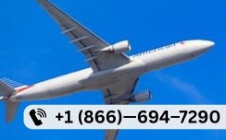 Step-by-Step Guide to Speak with LOT Polish Airlines® Customer Service