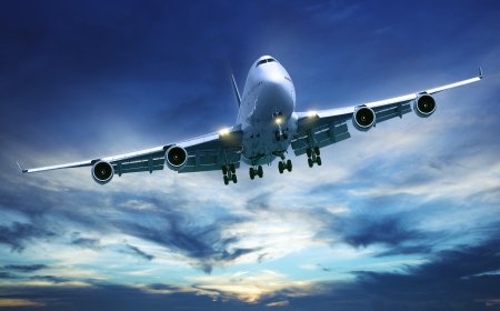 31 Ultimate Guide to Contacting Air Canada Airlines—All Channels Covered