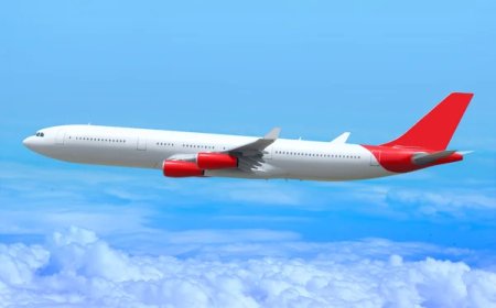 53 Simple Paths to Reach a Live Air Canada  Airlines Agent Immediately