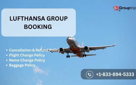 How to Cancel a Lufthansa Group Booking Ticket Quickly?