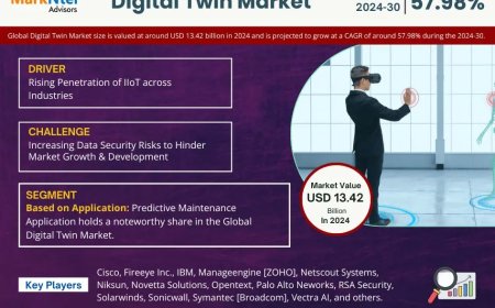 Digital Twin Market Research 2024–2030: Growth, Size & Opportunities