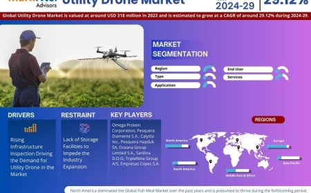Utility Drone Market Overview 2024–2029: Share, Size & Future Trends