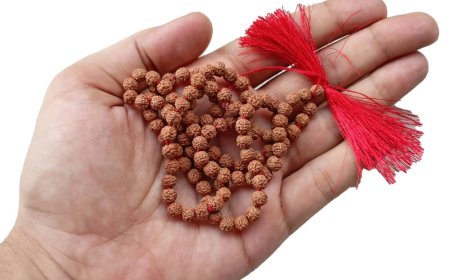 The Significance of Rudraksha in Hinduism: Exploring Its Spiritual Importance