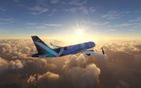 FAQ Ho do I connect on Expedia live agent