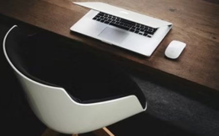 Get Professional New Zealand Immigration Advice You Can Trust