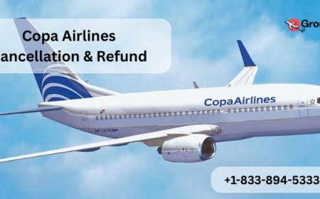 How to Book Copa Airlines Group Travel Tickets?