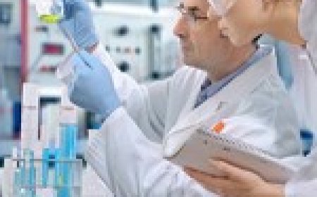 Discover the Power of DermalMD – Science-Backed Skincare That Works