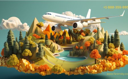 How do I Speak to Someone at Norse? Scroll for Solutions!