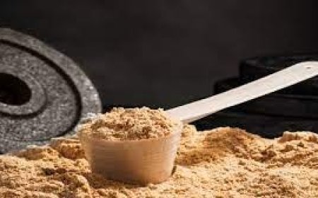 Meal Replacement Powder Manufacturing Plant Setup Report 2025: Industry Analysis and Machinery Cost