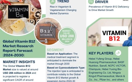 Vitamin B12 Market Research 2024–2030: Growth, Size & Opportunities