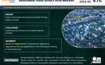 Southeast Asia Smart Grid Market Research 2024–2030: Growth, Size & Opportunities