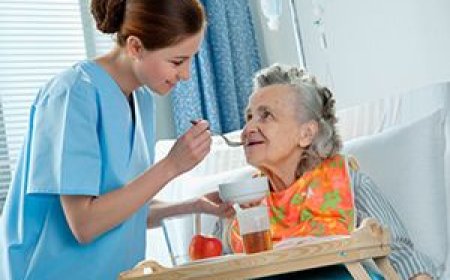 Companionship Care Croydon and Overnight Carers Croydon: Trusted Support Tailored to Your Needs