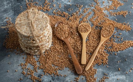 Top Sesame Seeds Brands, Suppliers & Manufacturers – India