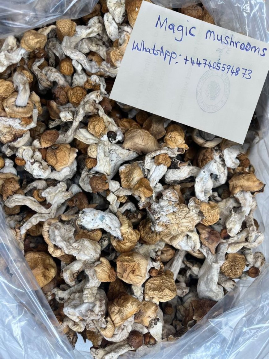 How to properly use magic mushroom