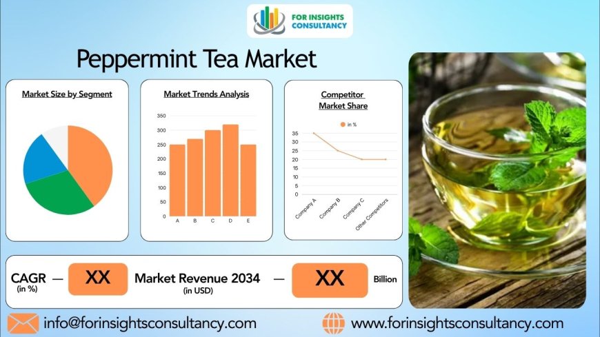 Exploring the Growing Peppermint Tea Market: Trends and Opportunities