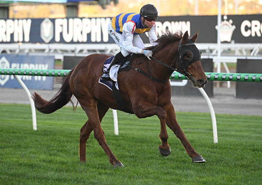 Unlocking Success: How to Pick Top Flemington Racing Tips Winners Like a Pro