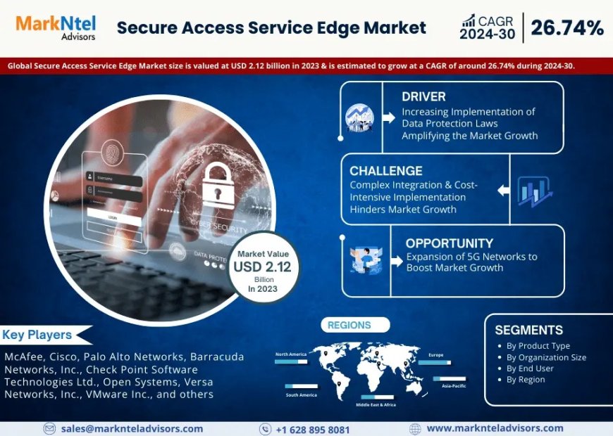 Secure Access Service Edge Market Overview 2024–2030: Share, Size & Future Trends