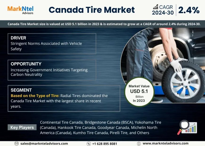Canada Tire Market Research 2025–2030: Growth, Size & Opportunities
