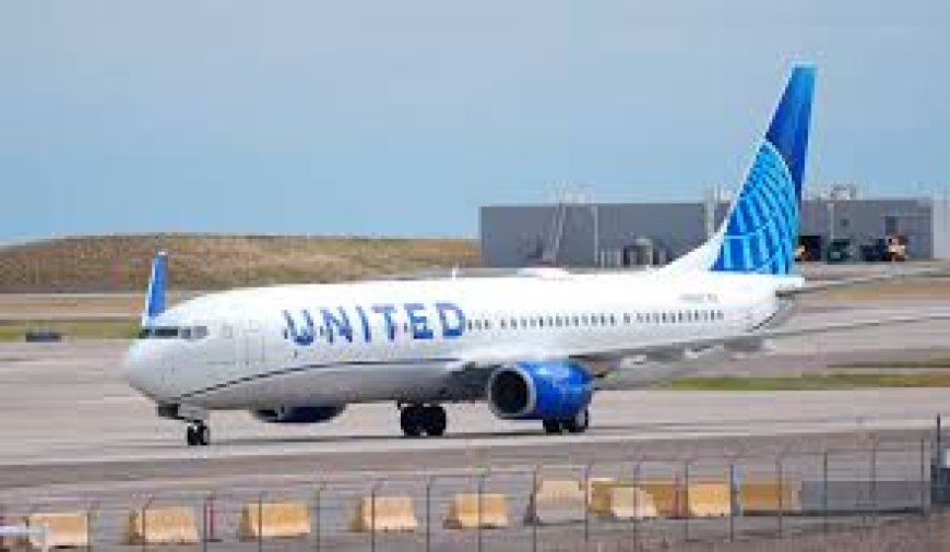 14 Ways to Reach American Airlines Customer service Phone Number, Chat and Email Options: A Step-By-Step Guide