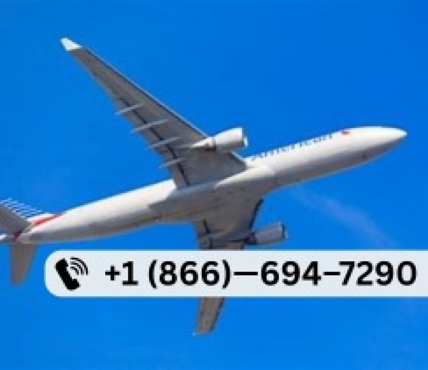 60 Ways to Connect with Play Airlines® Customer Service from Any Country