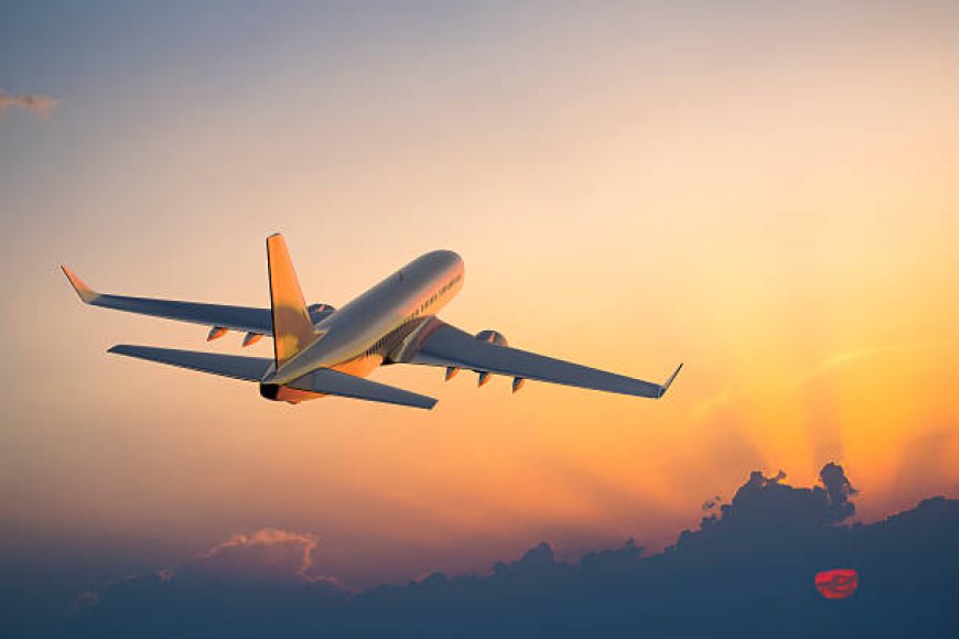 Need Help With Your Trip? Here's How To Contact 𝐸𝓍𝓅𝑒𝒹𝒾𝒶®️ Support Fast in 2025