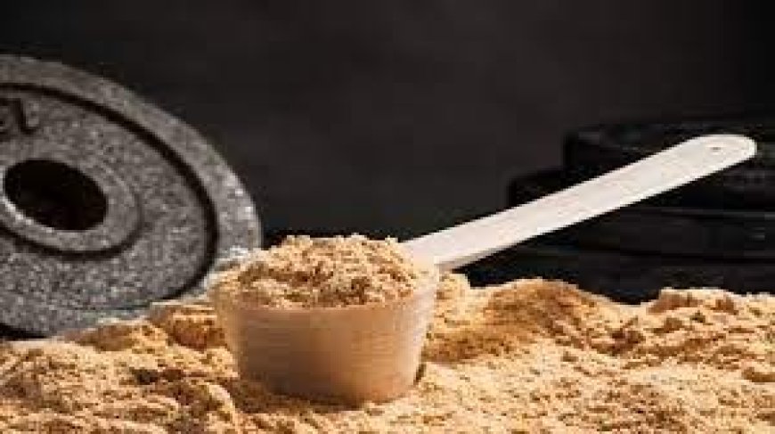 Meal Replacement Powder Manufacturing Plant Setup Report 2025: Industry Analysis and Machinery Cost