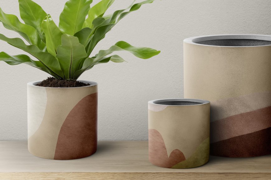 Why Ceramic Planters Are the Perfect Choice for Stylish Green Spaces