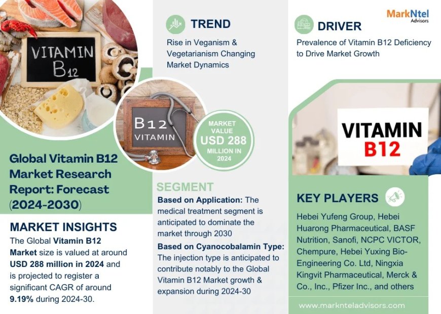 Vitamin B12 Market Research 2024–2030: Growth, Size & Opportunities