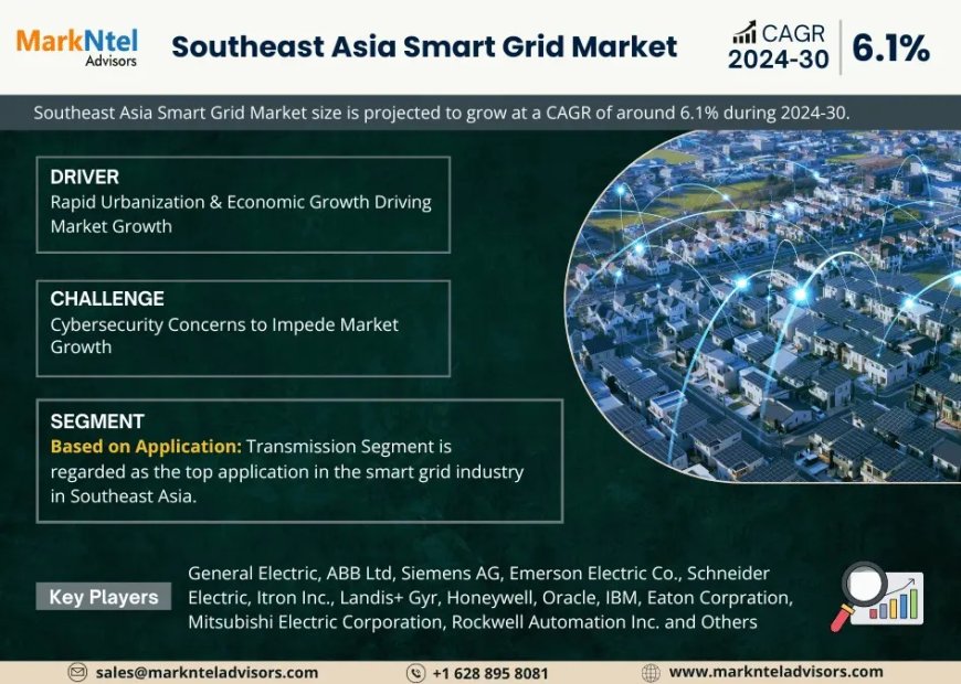 Southeast Asia Smart Grid Market Research 2024–2030: Growth, Size & Opportunities
